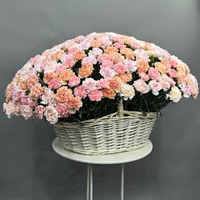 Композиция в корзине из 251 диантуса микс в Дзержинском