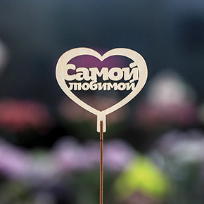 Топпер Самой Любимой в Дзержинском