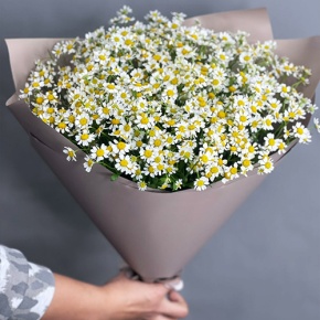 Букет из 17 ромашек танацетум в Дзержинском