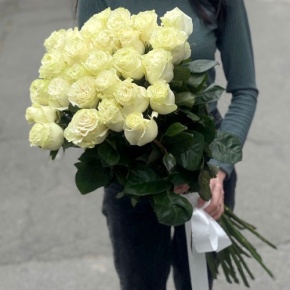 Монобукет из 25 роз Эквадор Мондиаль (80 см) в Дзержинском