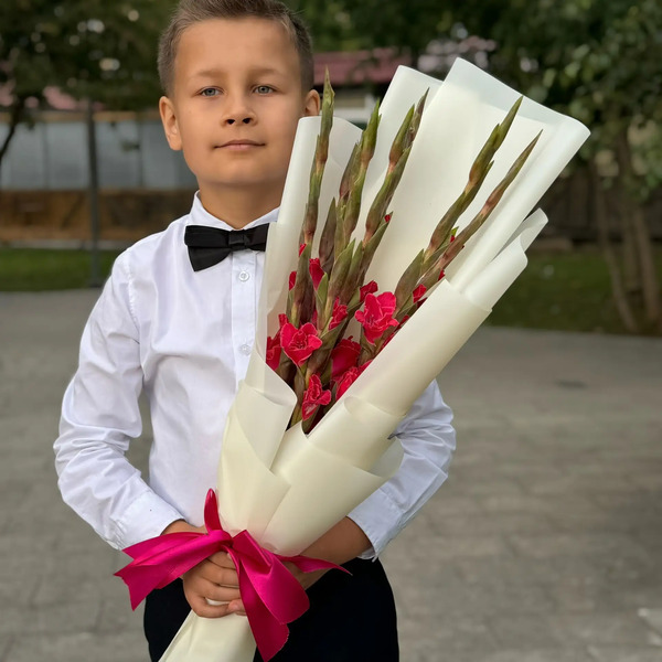 Букет на 1 сентября из 7 малиновых гладиолусов в Дзержинском