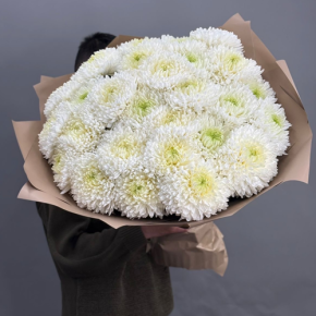 Букет из 27 хризантем Магнум в Дзержинском