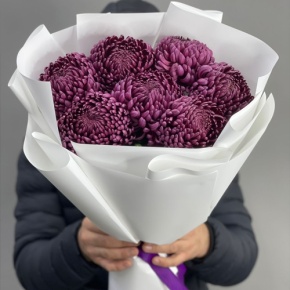 Букет "Винная легенда" из 7 хризантем Бигоуди в Дзержинском