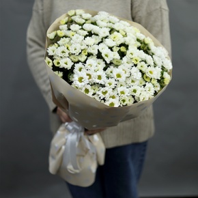 Букет "Милая моя" из 17 хризантем сантини в Дзержинском