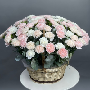 Композиция в корзине из 101 диантуса микс в Дзержинском