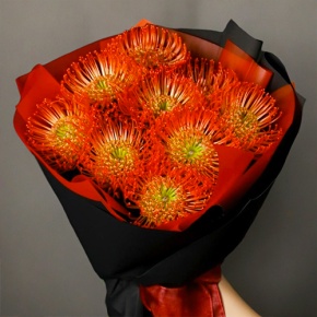 Букет из 9 лейко в Дзержинском