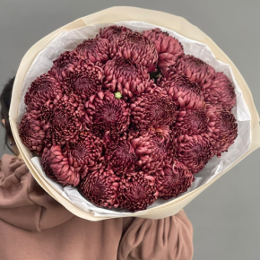 Букет 21 шоколадной хризантемы Бигоуди в Дзержинском