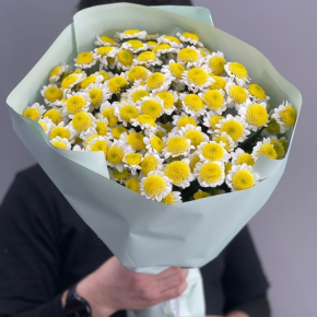 Букет "Моё солнышко" из 17 хризантем сантини  в Дзержинском