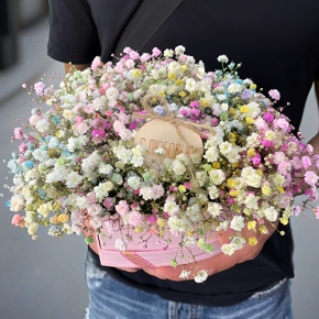 Композиция в коробке сердца из радужных гипсофил с топпером в Дзержинском