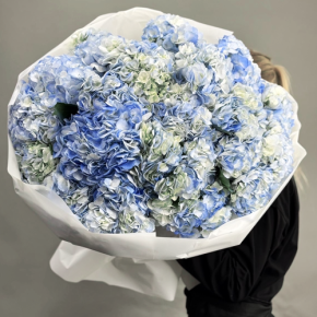 Букет из 23 синих гортензий в Дзержинском