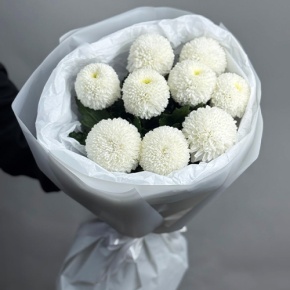 Букет из 9 белых хризантем Момоко в Дзержинском