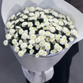Букет "Белая дымка" из 25 хризантем сантини в Дзержинском