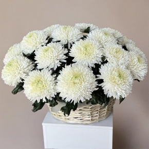Композиция в корзине из 25 хризантем Магнум в Дзержинском