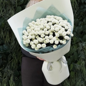 Букет из 25 хризантем Ньютон в Дзержинском