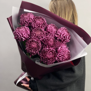Букет "Изобилие" из 11 винных хризантем Бигоуди в Дзержинском