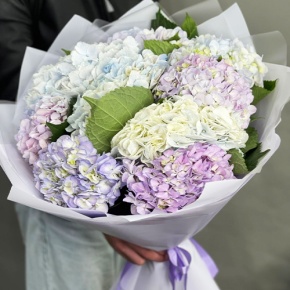 Букет из 9 Голландских гортензий микс в Дзержинском