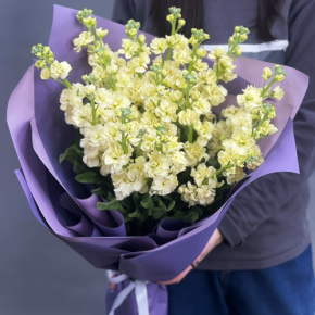 Букет из 15 лимонных маттиол в Дзержинском