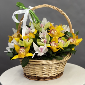 Композиция в корзине из 25 орхидей микс в Дзержинском