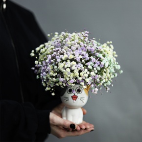 Композиция из гипсофил в керамическом кашпо в Дзержинском