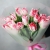 Букет "Фламинго" из 11 пионовидных тюльпанов в Дзержинском Букет "Фламинго" из 11 пионовидных тюльпанов в Дзержинском