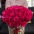 Букет 51 роза Эквадор Пинк Флоид (60 см) в Дзержинском Букет 51 роза Эквадор Пинк Флоид (60 см) в Дзержинском