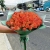 Букет из 51 мандариновой розы (40 см) в Дзержинском Букет из 51 мандариновой розы (40 см) в Дзержинском