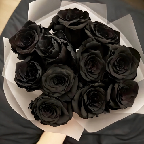 Букет "Черная королева" из 11 черных роз Эквадор (60 см) в Дзержинском