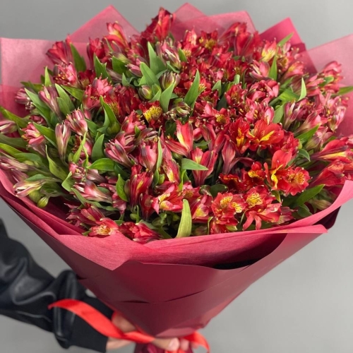 Монобукет из 25 красных альстромерий в Дзержинском