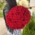 Букет 51 красной розы 50 см в Дзержинском Букет 51 красной розы 50 см в Дзержинском