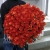 Букет 101 коралловая роза (60 см) в Дзержинском Букет 101 коралловая роза (60 см) в Дзержинском