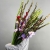 Букет из 25 гладиолусов микс в Дзержинском Букет из 25 гладиолусов микс в Дзержинском