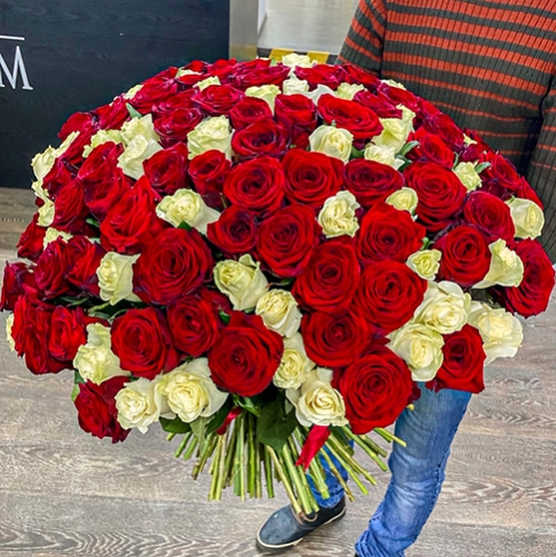 Букет 151 роза красный и белый микс (60 см) в Дзержинском