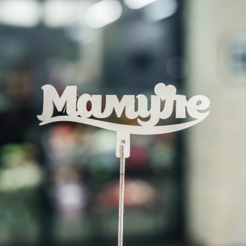 Топпер Мамуле в Дзержинском