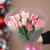 Букет "Фламинго" из 11 пионовидных тюльпанов в Дзержинском Букет "Фламинго" из 11 пионовидных тюльпанов в Дзержинском