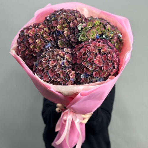 Букет из 5 космических Голландских гортензий в Дзержинском