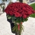 Букет из 101 красной розы (90 см) в Дзержинском Букет из 101 красной розы (90 см) в Дзержинском