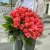 Букет 51 роза коралл (60 см) в Дзержинском