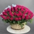 Композиция в корзине из 151 малиновой розы в Дзержинском Композиция в корзине из 151 малиновой розы в Дзержинском
