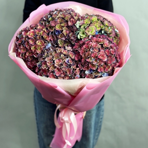 Букет из 5 космических Голландских гортензий в Дзержинском