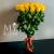 Букет 25 желтых роз эквадор (60 см) в Дзержинском