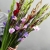Букет из 25 гладиолусов микс в Дзержинском Букет из 25 гладиолусов микс в Дзержинском