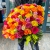 Букет 151 роза сочный микс (50 см) в Дзержинском Букет 151 роза сочный микс (50 см) в Дзержинском