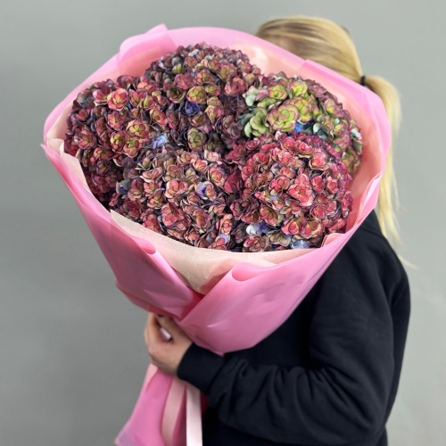 Букет из 5 космических Голландских гортензий в Дзержинском